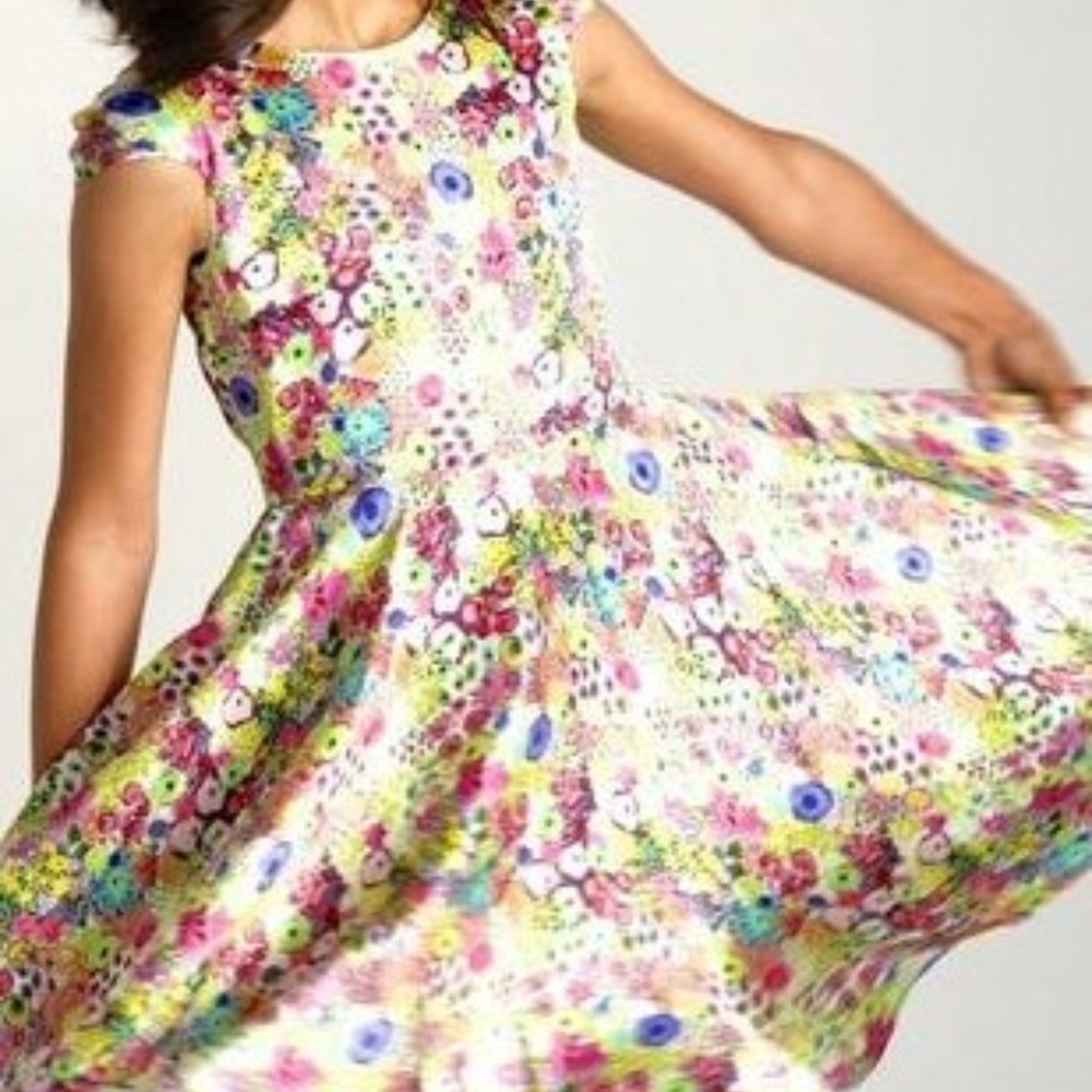 Alivia Simone Ava Swing Dress (Worn Once)